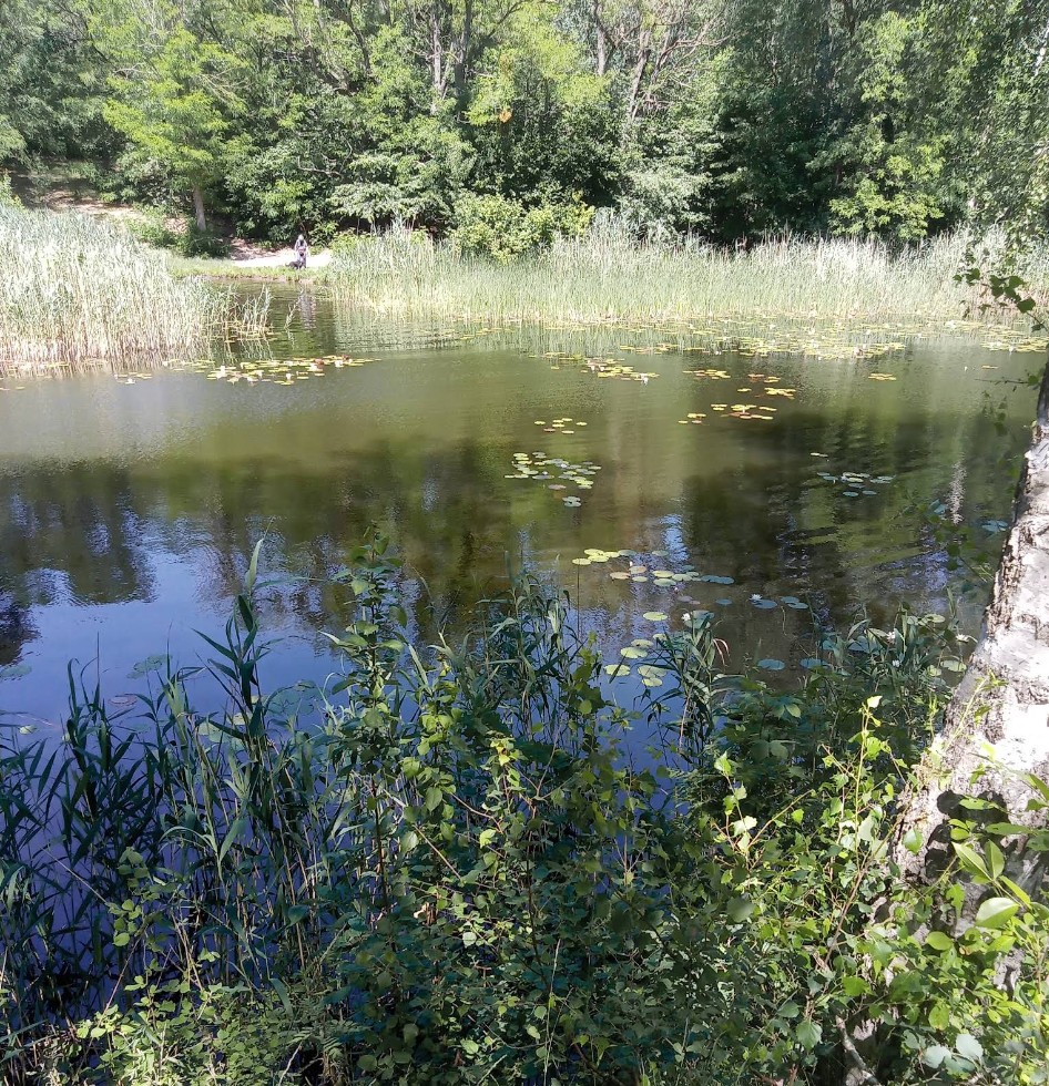 Sommerfelder Kiesgruben